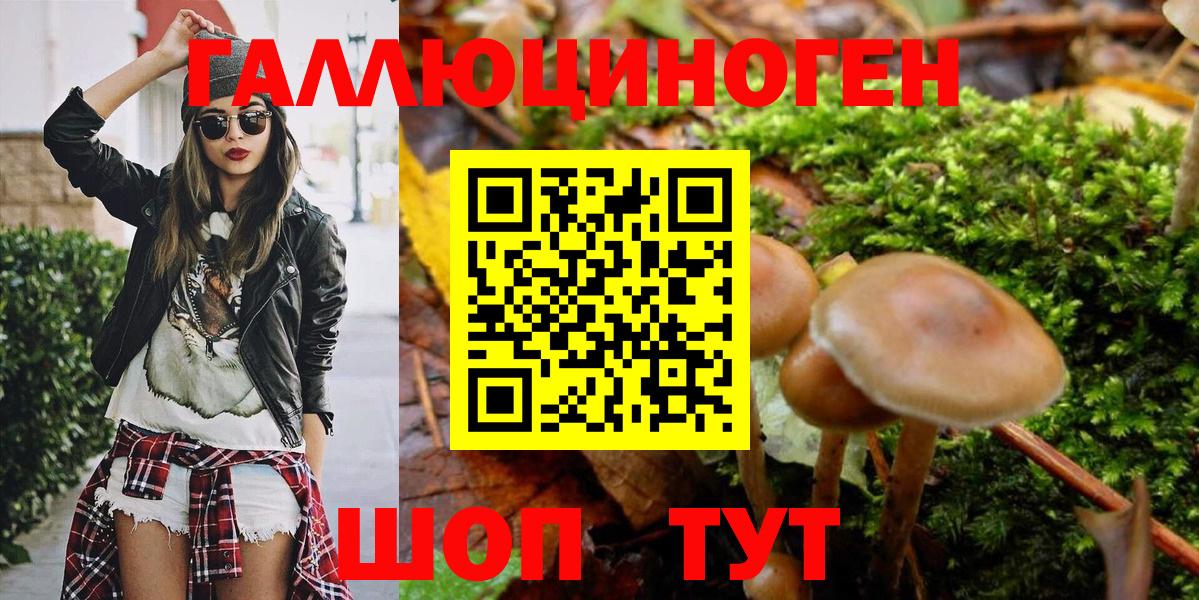Галлюциногенные грибы MAGIC MUSHROOMS  Вход с VPN  Мелеуз 